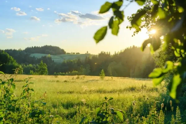 EKOGALA 2026 w Jasionce – trwają przygotowania do grudniowych targów żywności ekologicznej