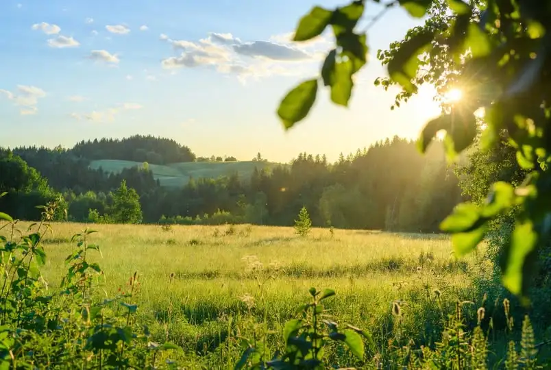 EKOGALA 2026 w Jasionce – trwają przygotowania do grudniowych targów żywności ekologicznej