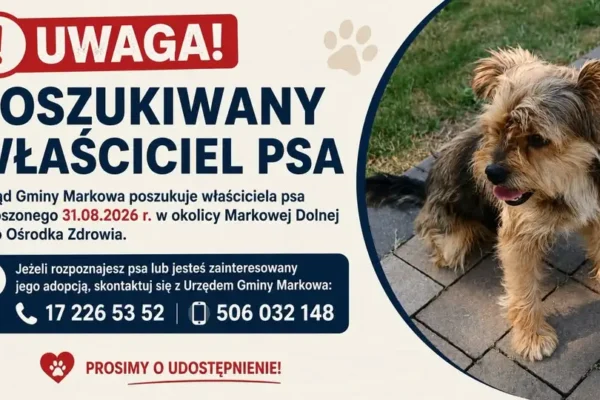 Urząd Gminy Markowa szuka właściciela psa znalezionego w Markowej Dolnej