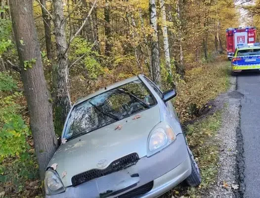 Sarna na drodze: 51-latka trafiła do szpitala. Policja apeluje o ostrożność