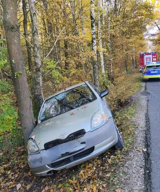 Sarna na drodze: 51-latka trafiła do szpitala. Policja apeluje o ostrożność