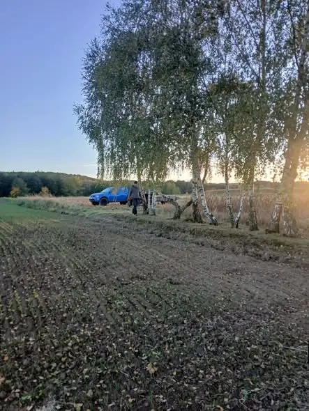 Porządki na cmentarzu cholerycznym przed Wszystkimi Świętymi